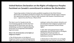 UNDRIP Factsheet