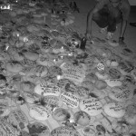 Stones with names at an August 2010 vigil against militarization and war in Colombia: These rocks represent missing and murdered community members in Colombia. Photo: John Lewis/ KAIROS
