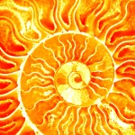 Solstice Fire
