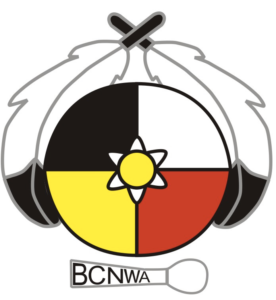 bc native womens association