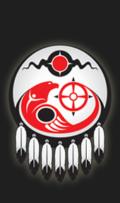 logo-afn