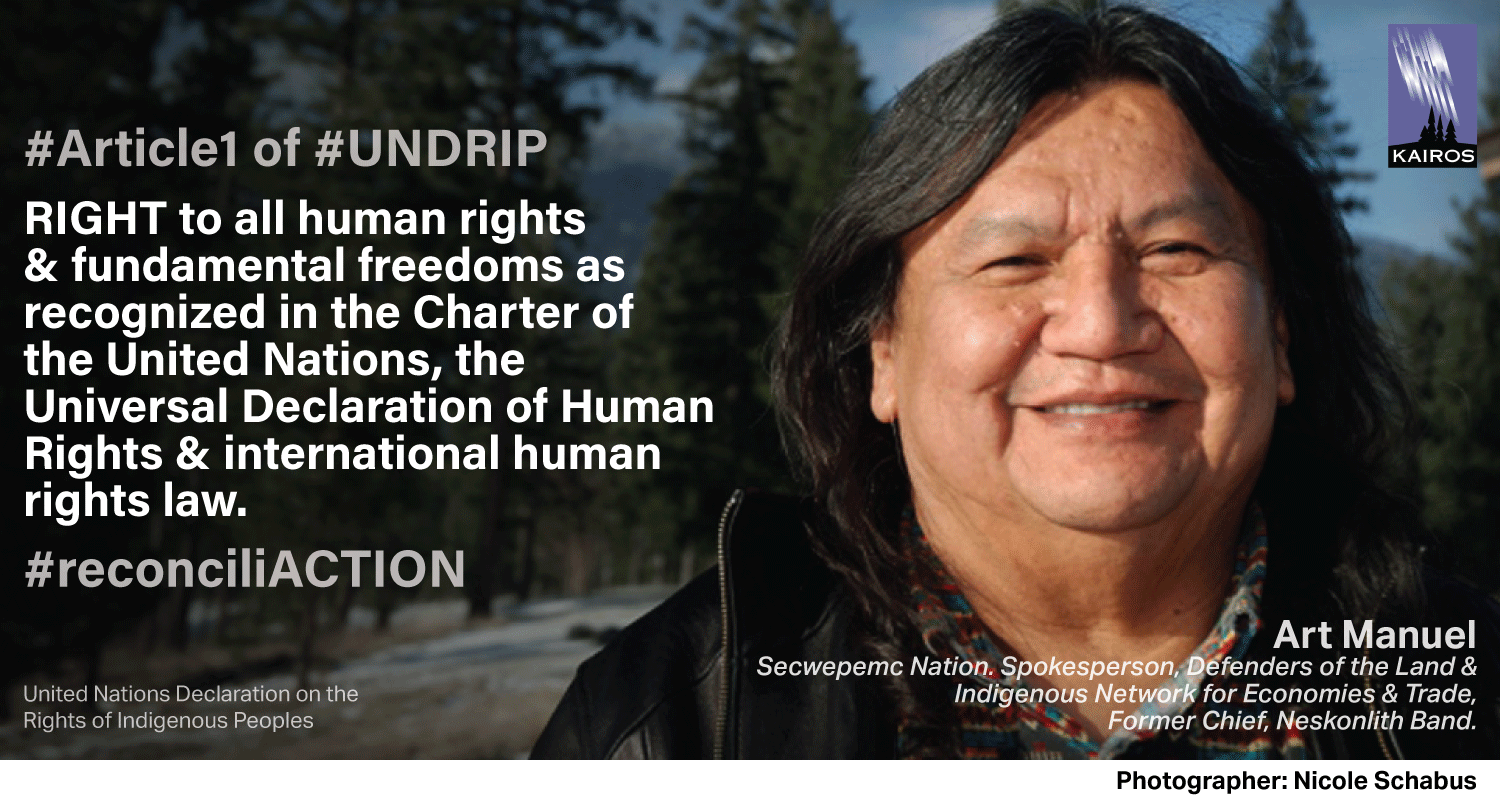 UNDRIP meme article 1 with Art Manuel