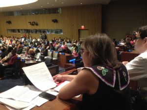 Helen Gabriel UNPFII 2015