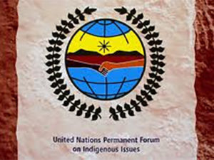 UNPFII logo