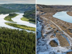 Peace River destroyed for Site C Dam Project