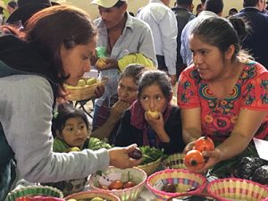 Local Nicaraguan farmers discussing crop diversity in a USC Canada vegetable seed exchange workshop at an Agrobiodiversity Fair in Guatemala.