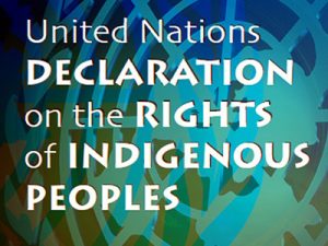 United Nations declaration on the rights of indigenous peoples icon