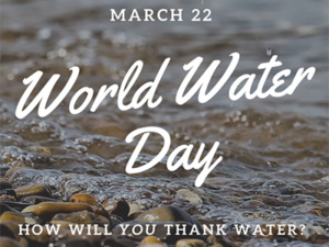 Will you thank water on World Water Day?