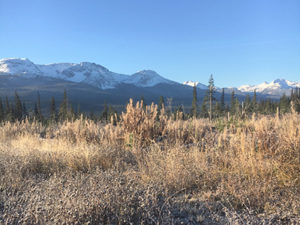 Photo of mountains for spirited reflection