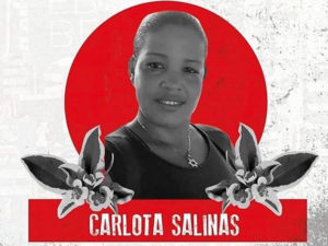 Carlota Isabel Salinas Pérez, a woman human rights defender, was murdered outside her home on the evening of March 24 in San Pablo