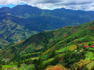 n northern Philippines, the Igorot Indigenous peoples live in the Cordillera mountain region.