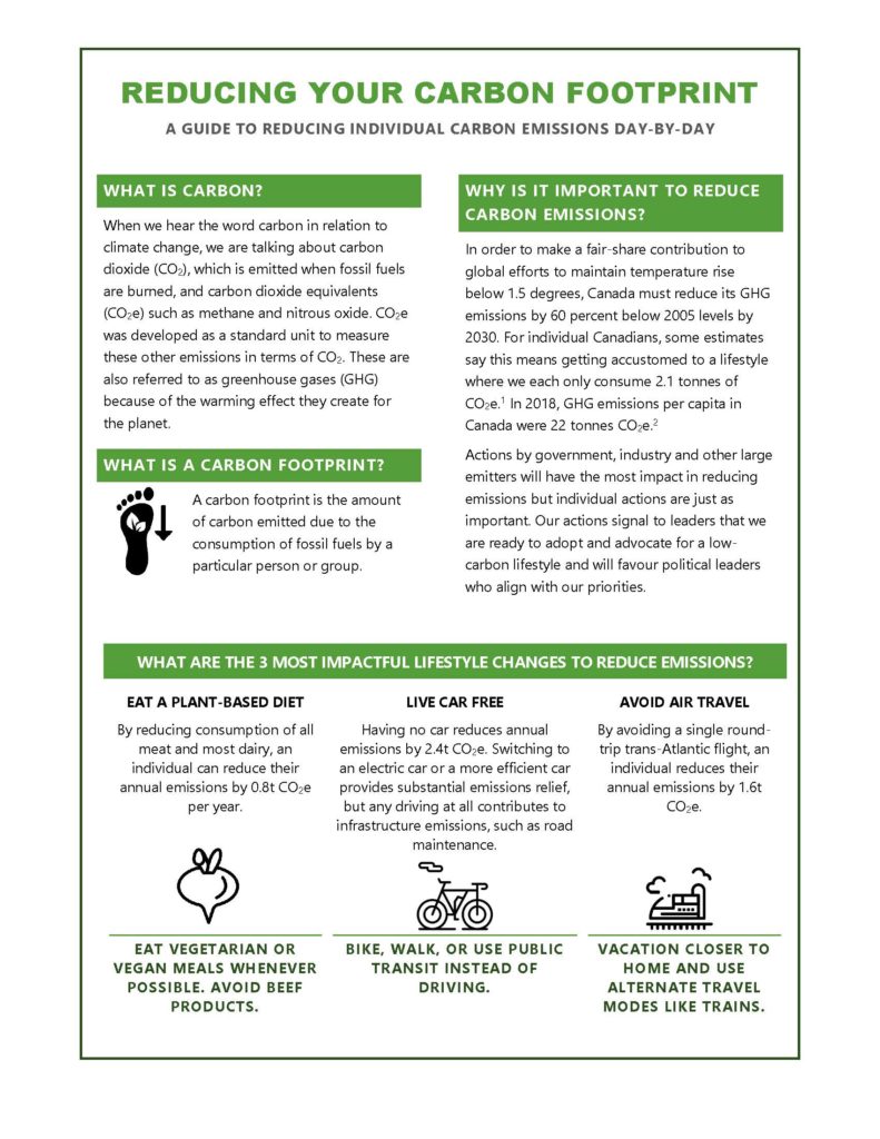 how to reduce carbon footprint essay