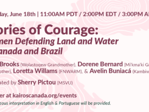 Stories of Courage: Women Land and Water Defenders