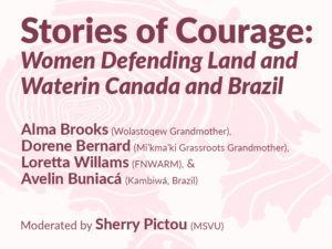 Stories of Courage: Women Land and Water Defenders