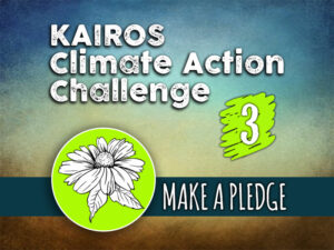 Day 3 - Climate Action Challenge