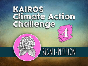 Day 4 - Climate Action Challenge
