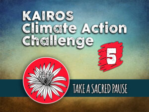 Day 5 - Climate Action Challenge