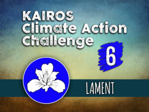 Day 6 - Climate Action Challenge