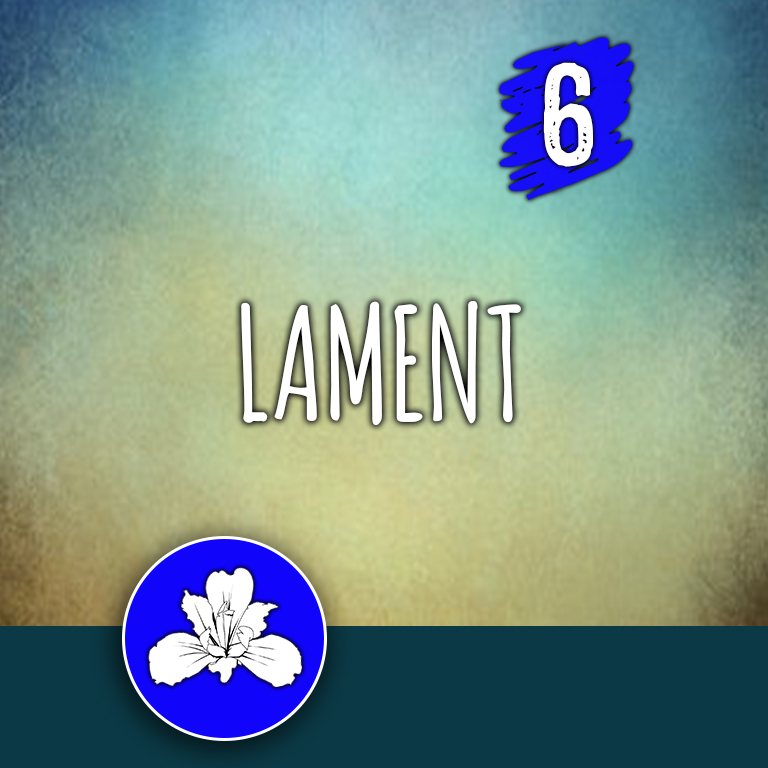 ACTION 6: Lament