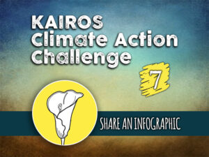 Day 7 - Climate Action Challenge