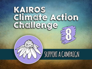 Day 8 - Climate Action Challenge