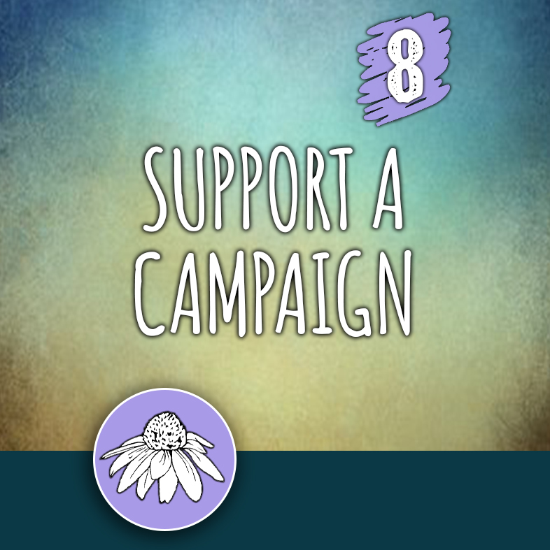 ACTION 8: Support a campaign