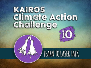 Day 10 - Climate Action Challenge