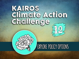 Day 12 - Climate Action Challenge