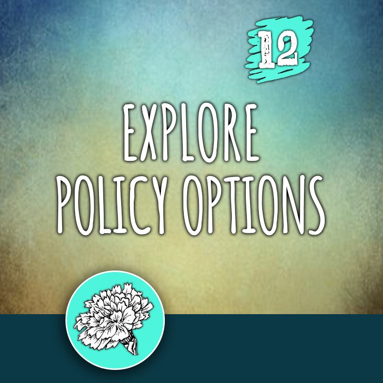 ACTION 12: Explore policy options