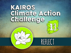 Day 13 - Climate Action Challenge