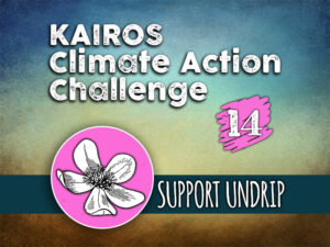 Day 14 - Climate Action Challenge