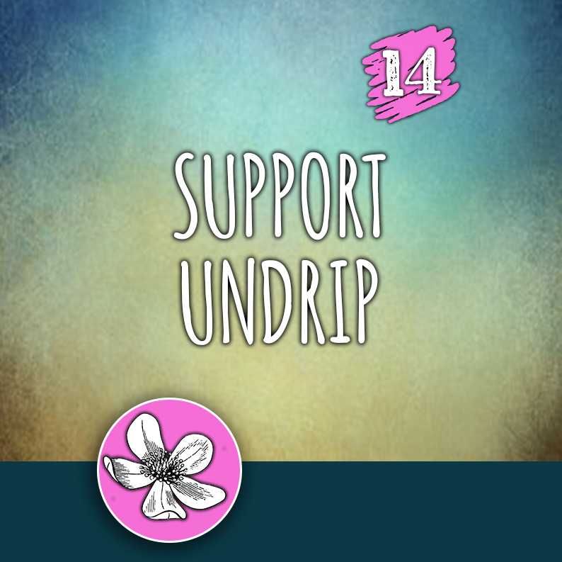 ACTION 14: Support UNDRIP