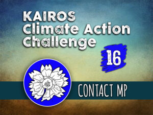 Day 16 - Climate Action Challenge