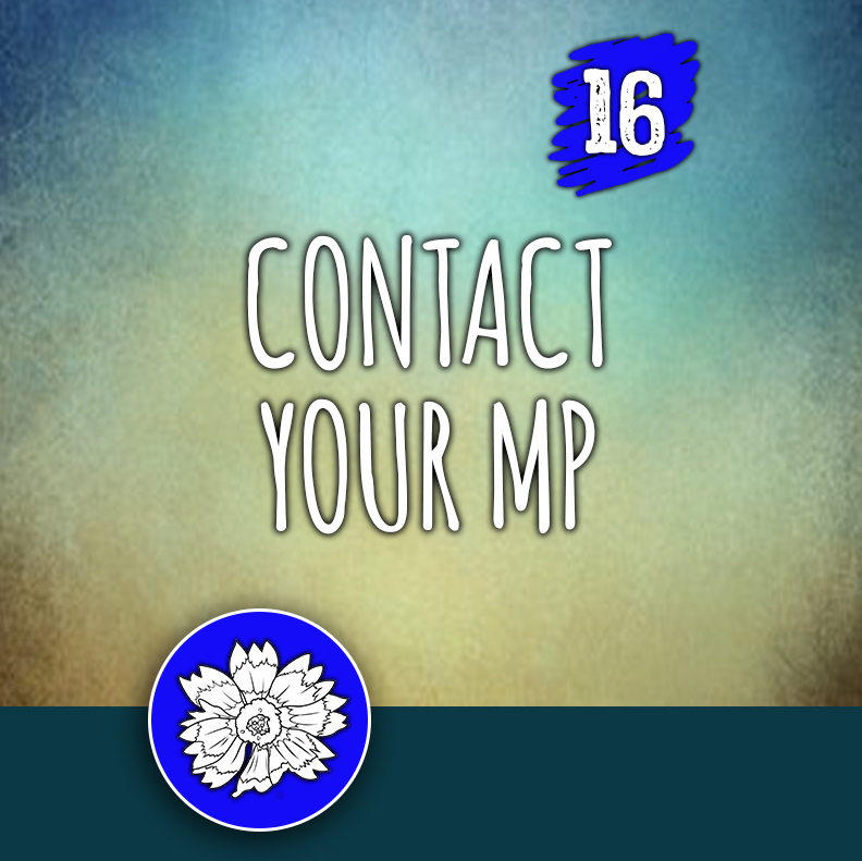 ACTION 16: Contact your MP