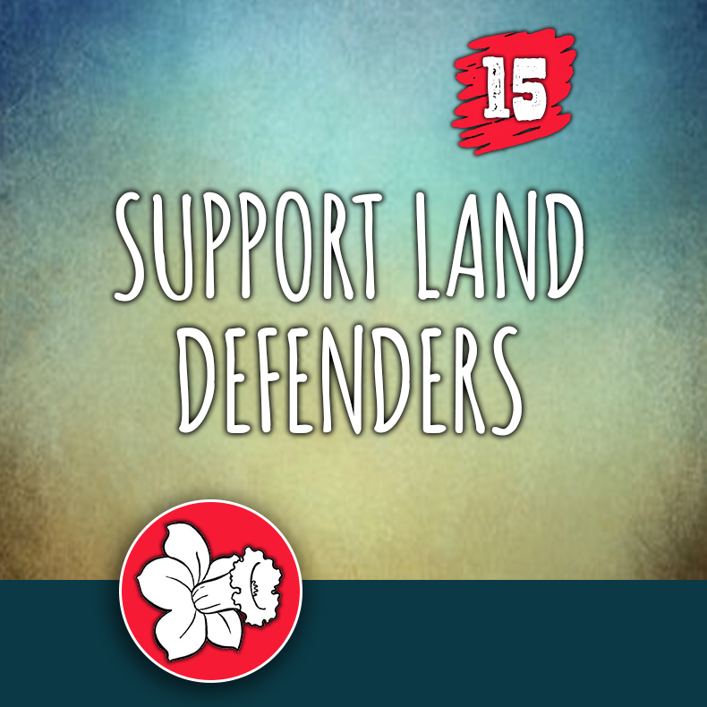 ACTION 15: Support land defenders