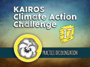 Day 17 - Climate Action Challenge