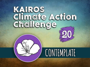 Day 20 - Climate Action Challenge