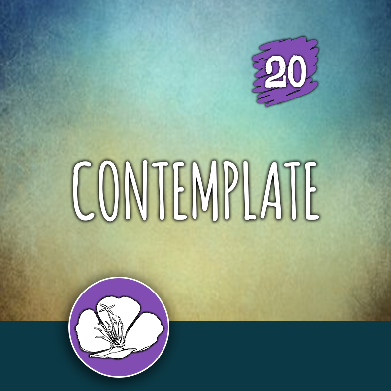 ACTION 20: Contemplate