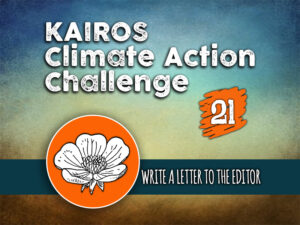 Day 21 - Climate Action Challenge