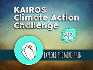 Day 22 - Climate Action Challenge