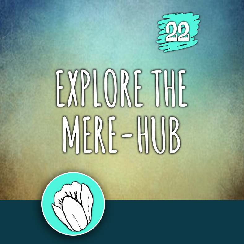ACTION 22: Explore the MERE-Hub