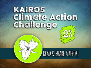 Day 23 - Climate Action Challenge