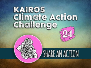 Day 24 - Climate Action Challenge