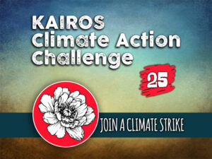 Day 25 - Climate Action Challenge