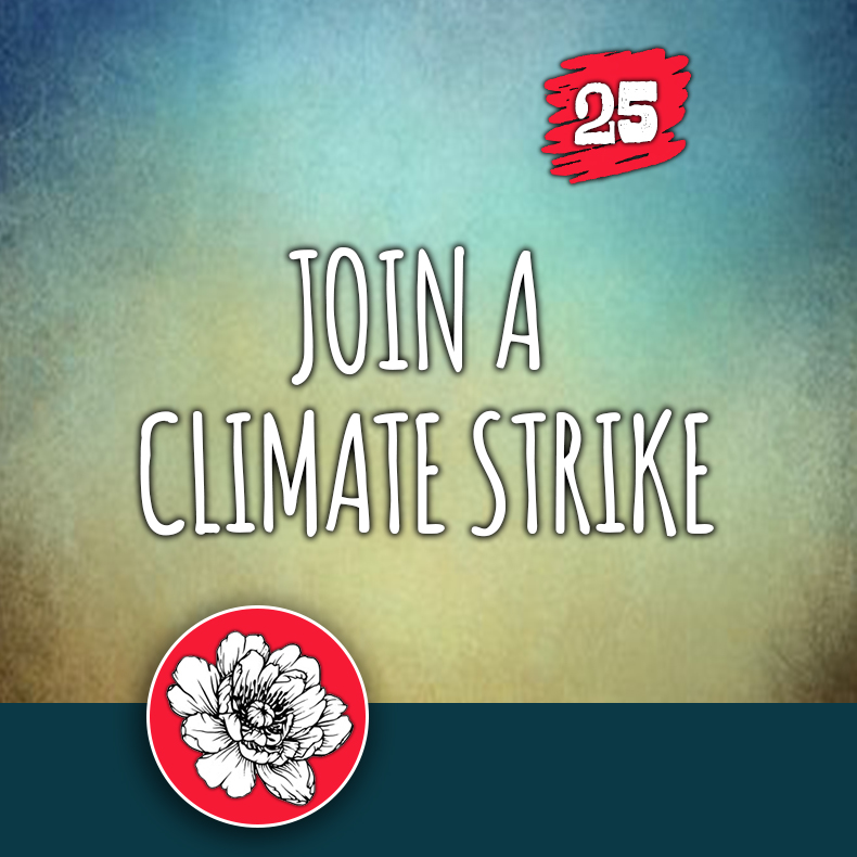 ACTION 25: Join a climate strike