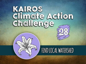 Day 28 - Climate Action Challenge