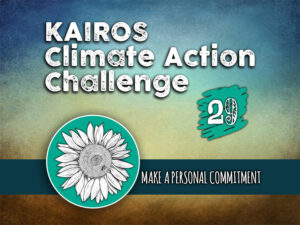 Day 29 - Climate Action Challenge