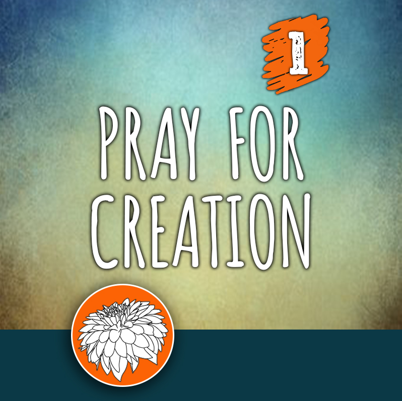 ACTION 1: Pray for Creation