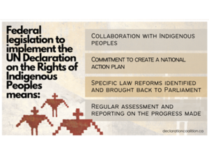 Federal legislation to implement the UN Declaration on the Rights of Indigenous Peoples