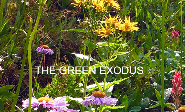 The Green Exodus